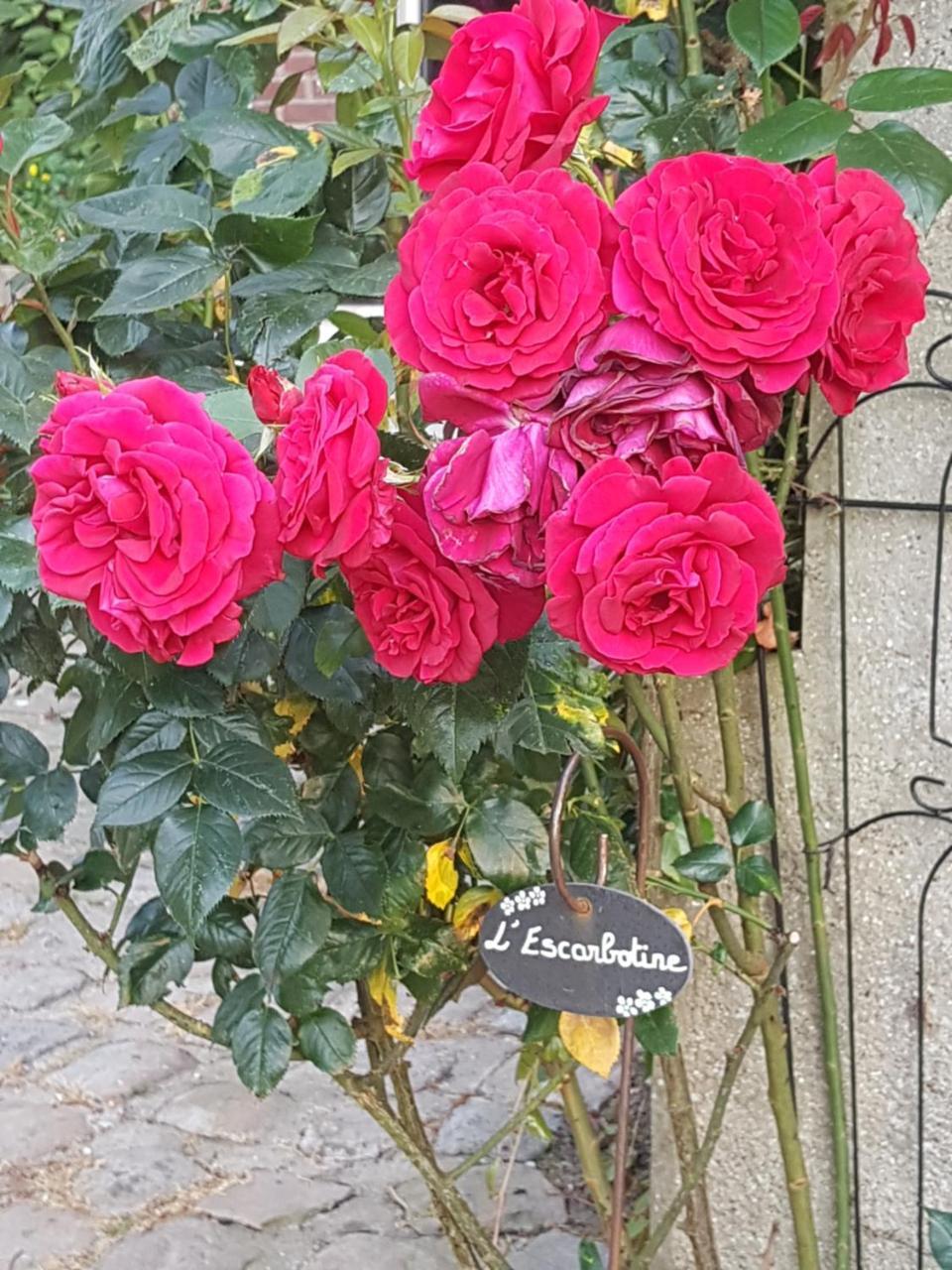 L'Escarbotine Bed & Breakfast Friville-Escarbotin Exterior foto