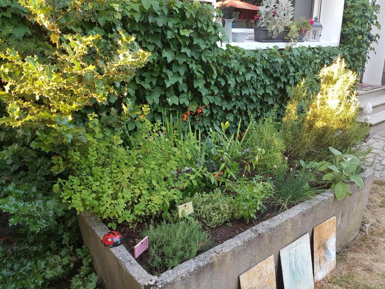 L'Escarbotine Bed & Breakfast Friville-Escarbotin Exterior foto
